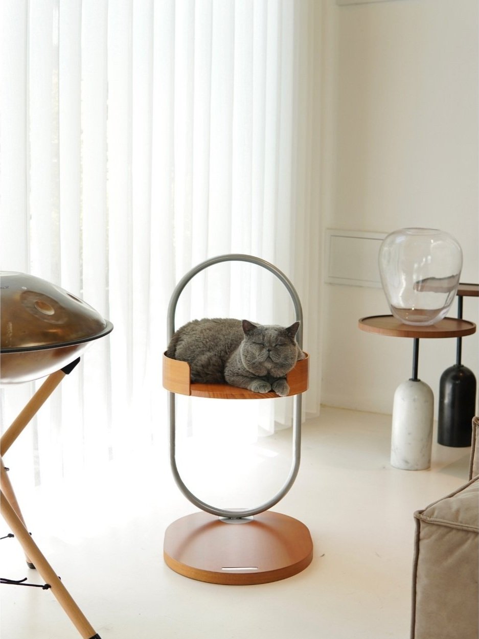 Untitled+design+%2819%29.jpg