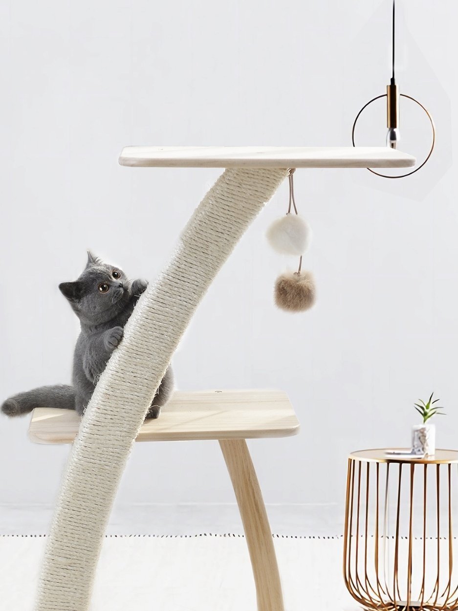 Untitled+design+%2874%29.jpg