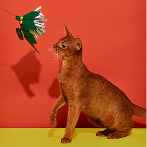 Untitled design (9).png
