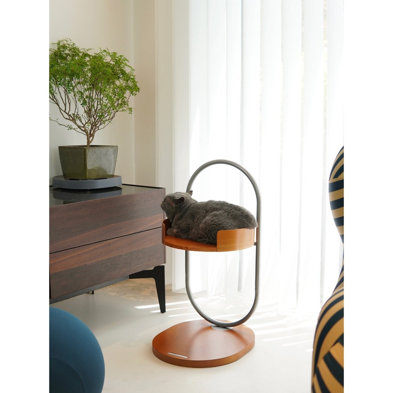 Untitled design (18).jpg