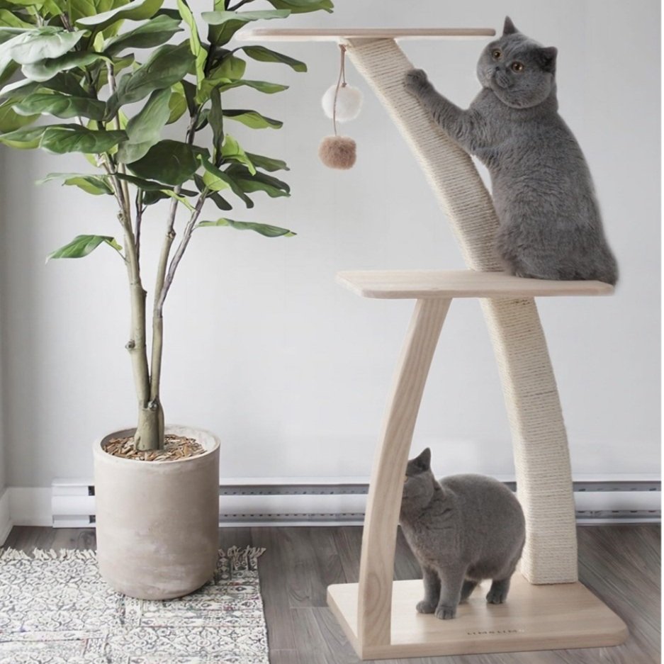 Coconut Cat Tree