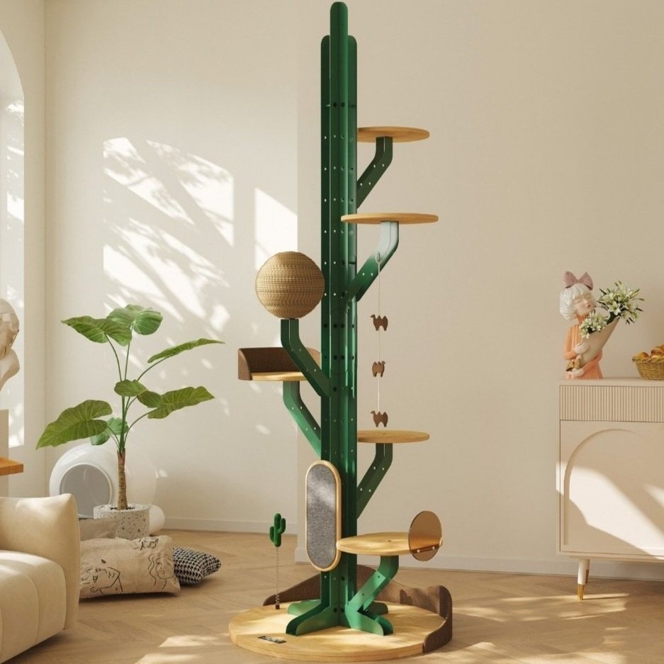 Cactus Climb