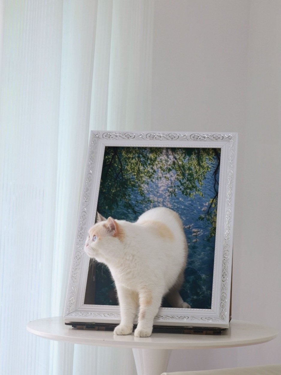 Untitled+design+%2863%29.jpg