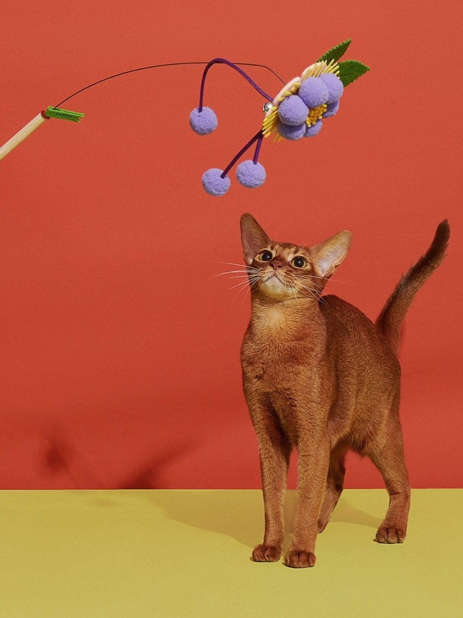 Untitled+design+%2840%29.jpg