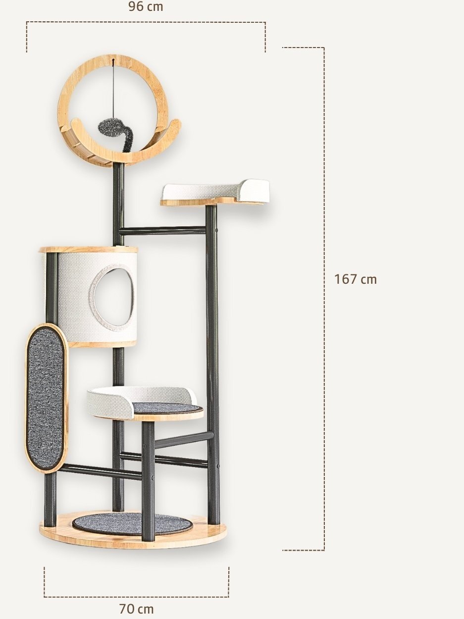 Untitled+design+%2814%29.jpg