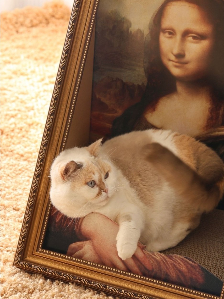 Untitled+design+%2833%29.jpg