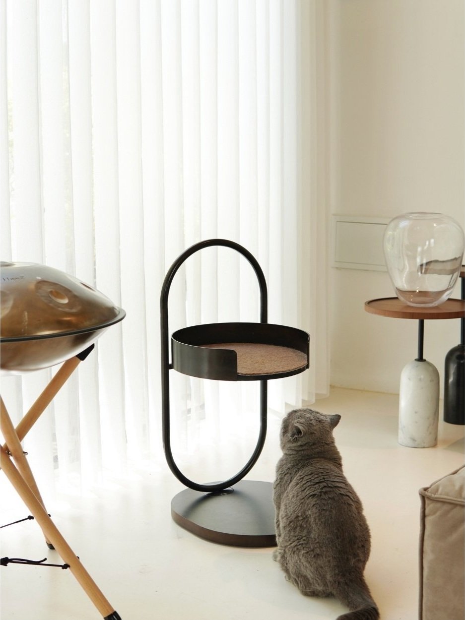 Untitled+design+%2820%29.jpg
