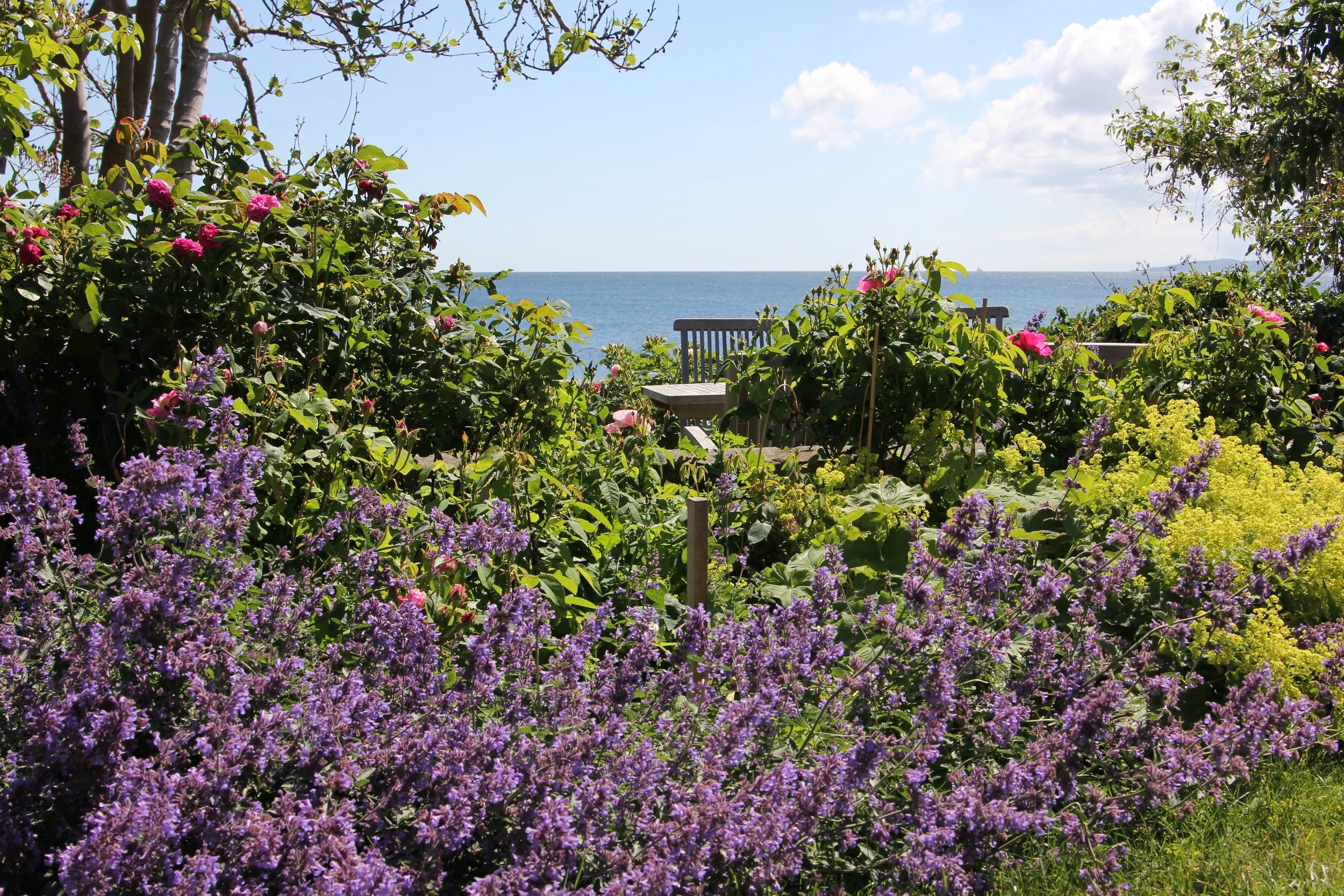 Udsigten fra Sea House Bornholm