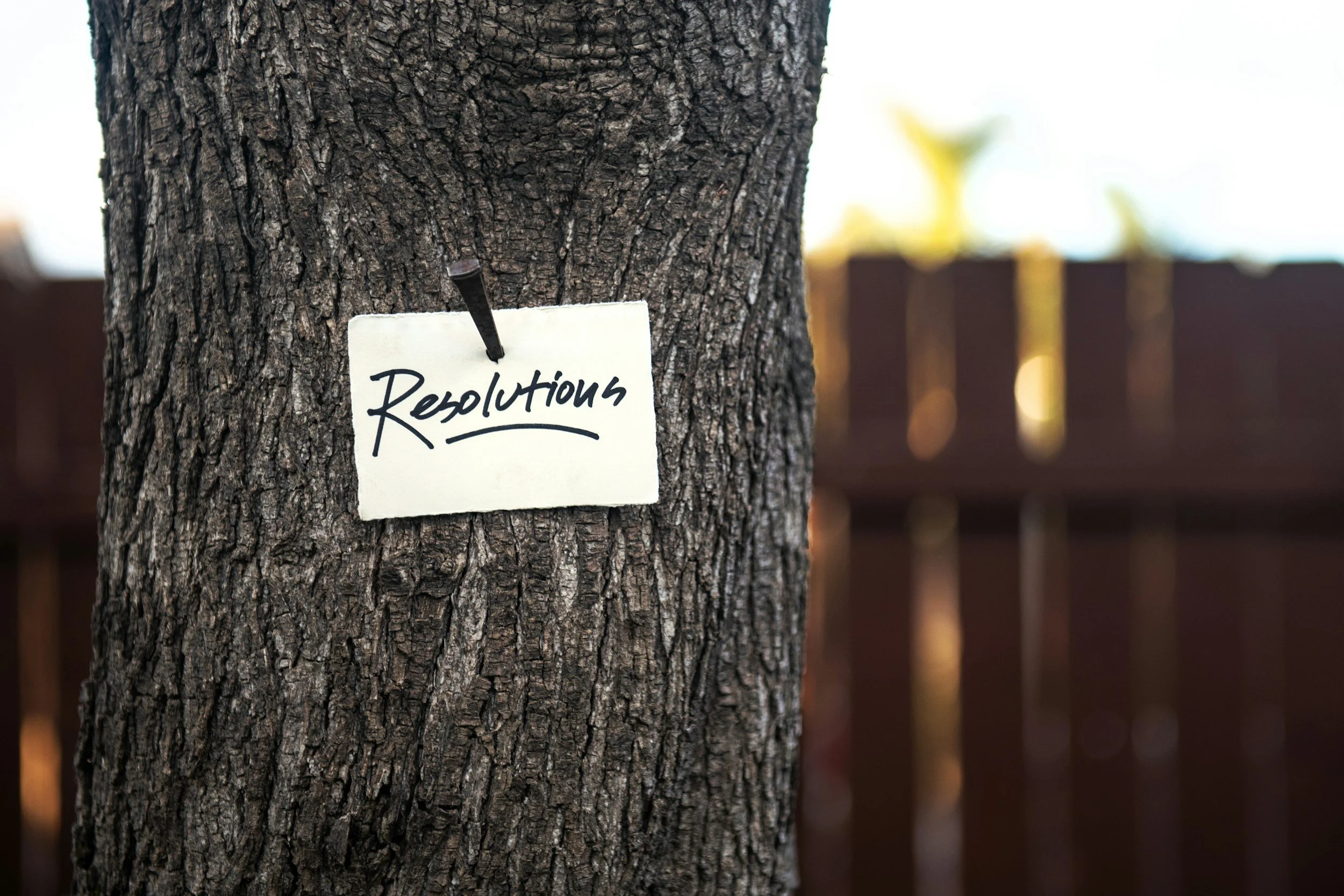 New Year, New Skill: Start a Lash Business in 2026