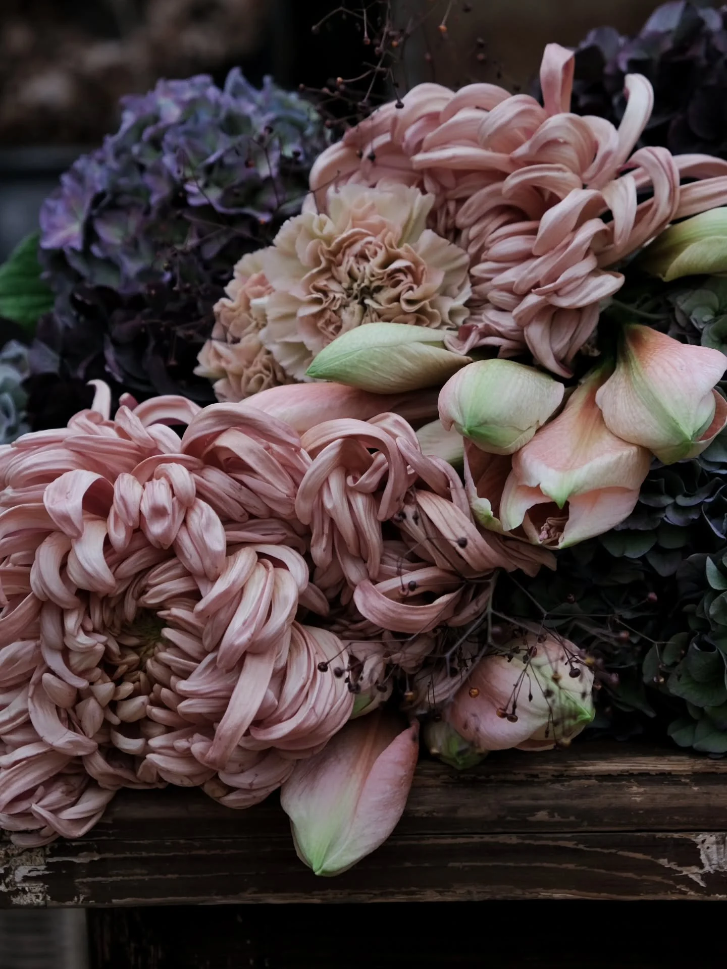 Amaryllis, B&auml;rnstensvippa, Chrysanthemum, Hortensia och Nejlikor f&ouml;rst&aring;s.
N&aring;gra av mina favoriter precis just nu i blommornas v&auml;rld.

Jag blir glad hela v&auml;gen in till hj&auml;rteroten av dessa juveler p&aring; stj&auml