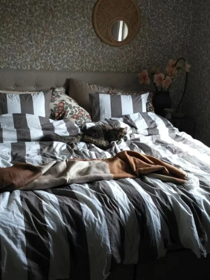 Reklam f&ouml;r @chilli.se

S&auml;ngen Hilton Plus fr&aring;n @chilli.se &auml;r p&aring; plats, just nu till 50% rabatt. Vi &auml;r s&aring; s&aring; n&ouml;jda. V&aring;ra p&auml;lsklingar ocks&aring; f&ouml;rst&aring;s.
En kontinentals&auml;ng so