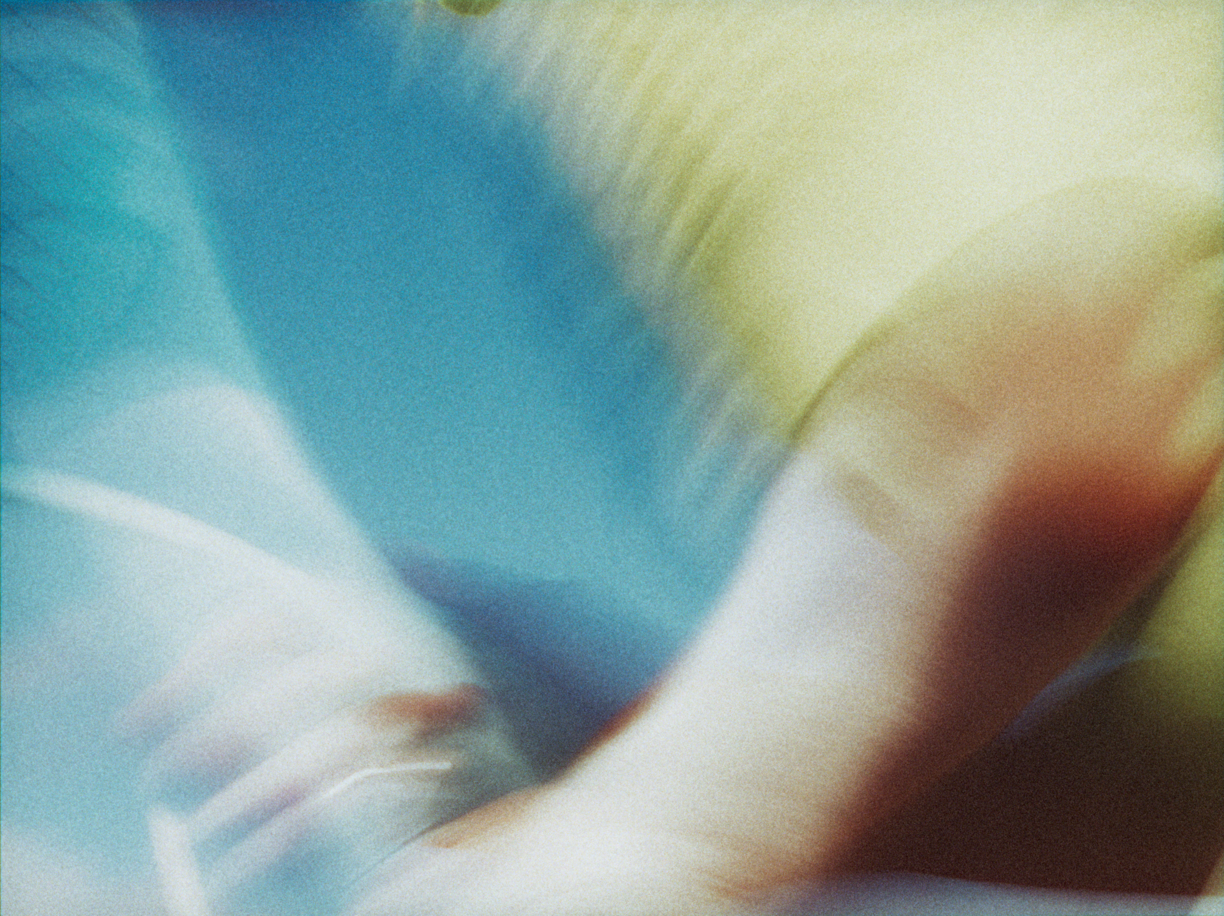 Screenshot 2026-02-11 at 7.23.21 PM.png