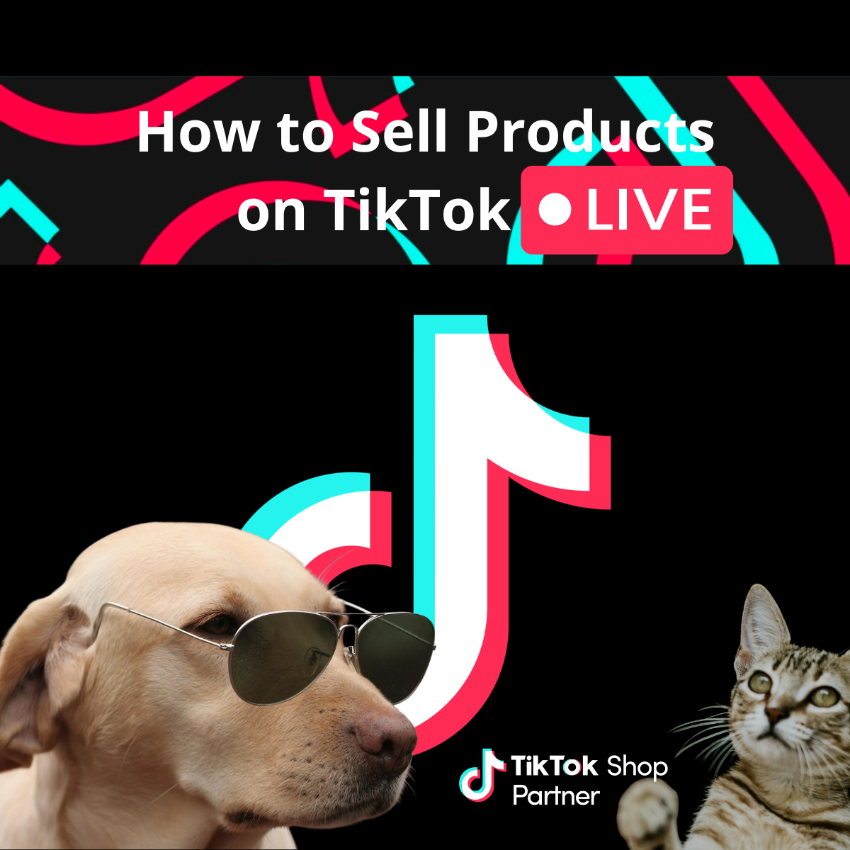 How to Sell Products on TikTok LIVE