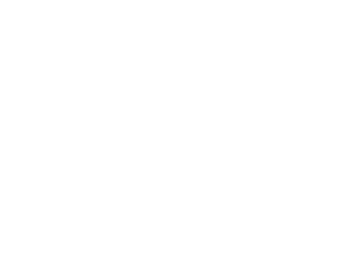 Ferrari.png