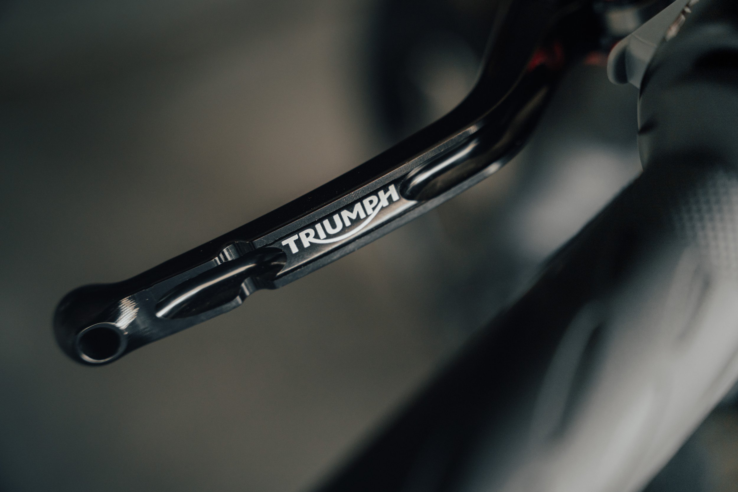 Triumph-41.jpg