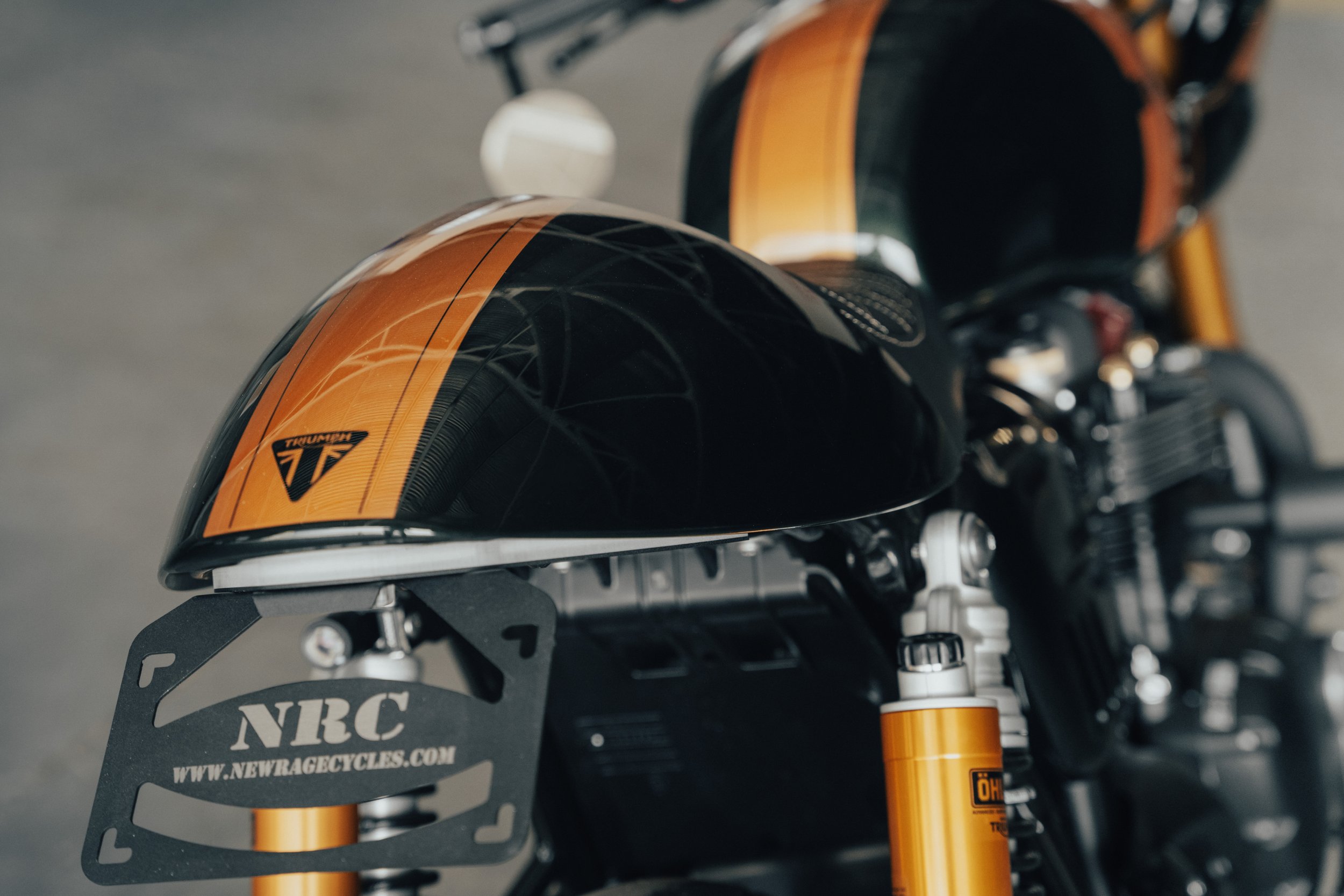 Triumph-21.jpg