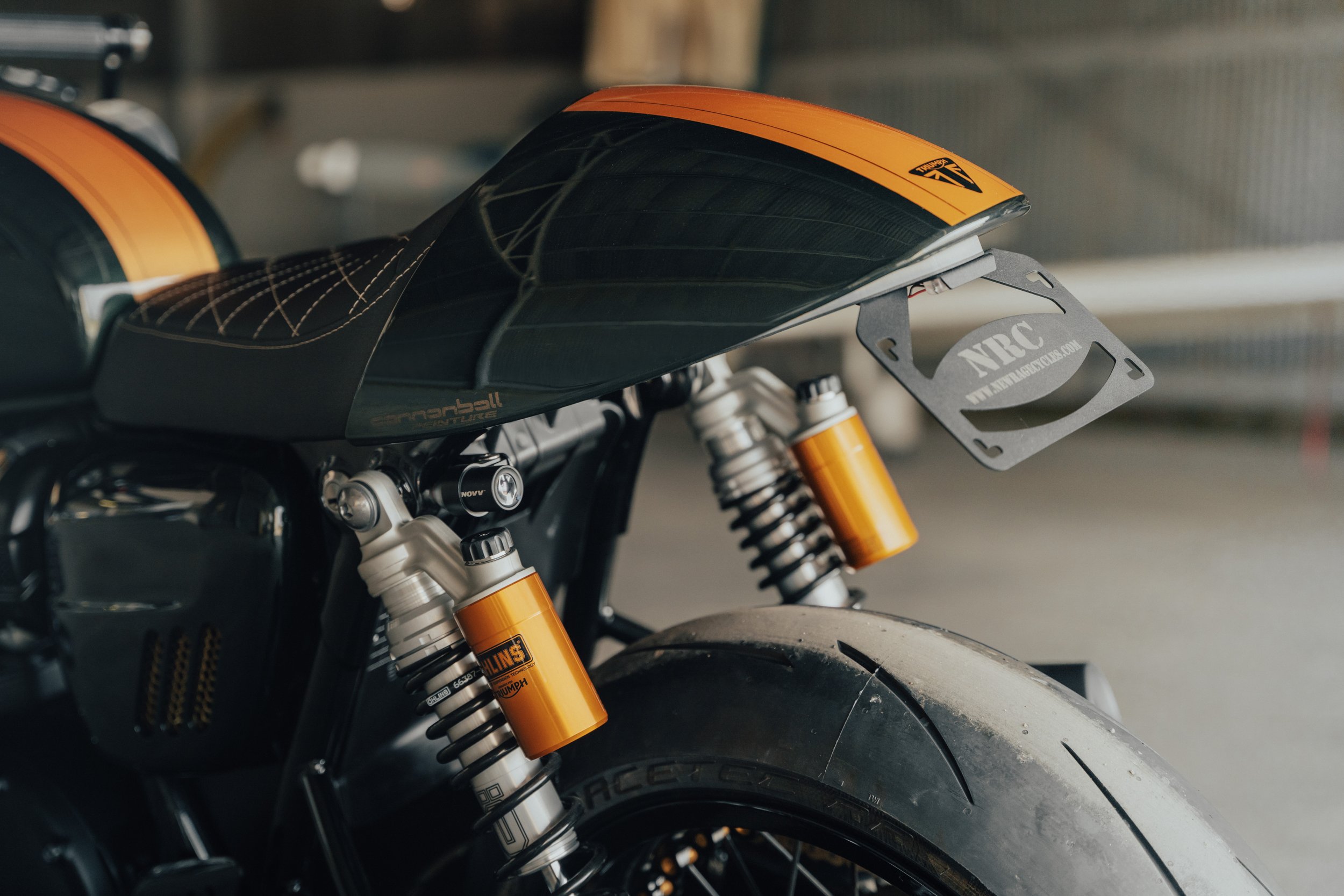 Triumph-15.jpg