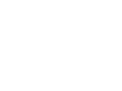 Shelby.png
