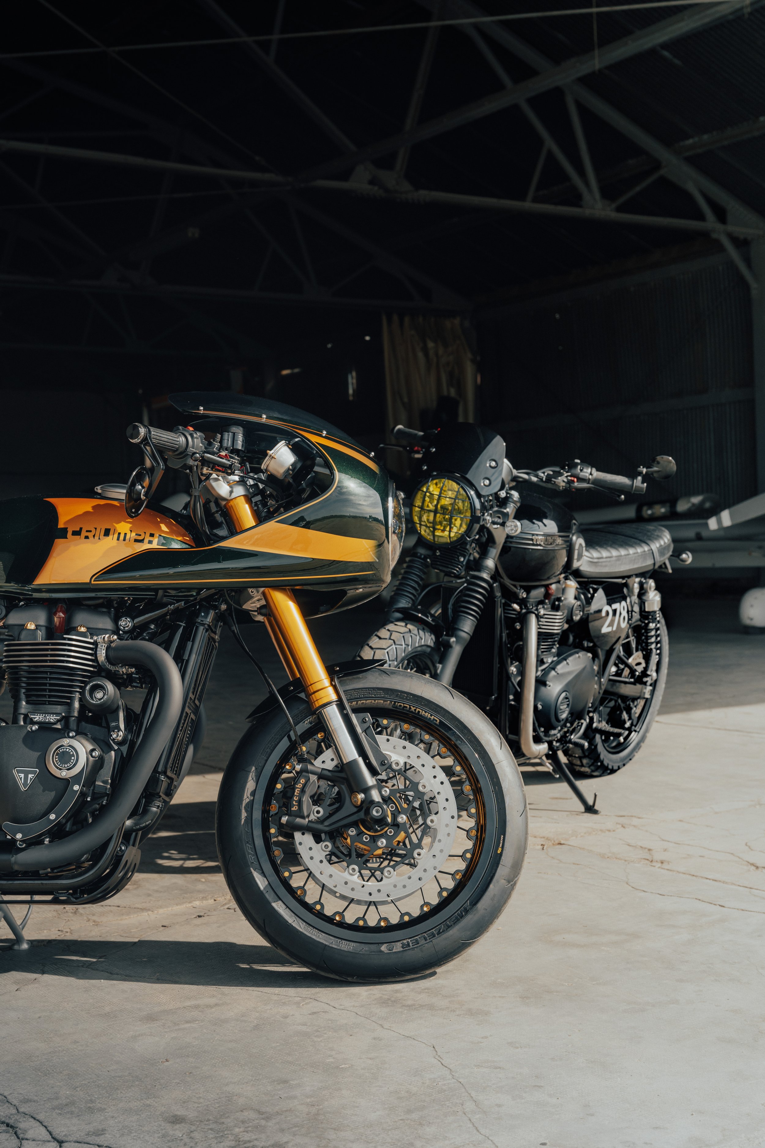 Triumph-8.jpg