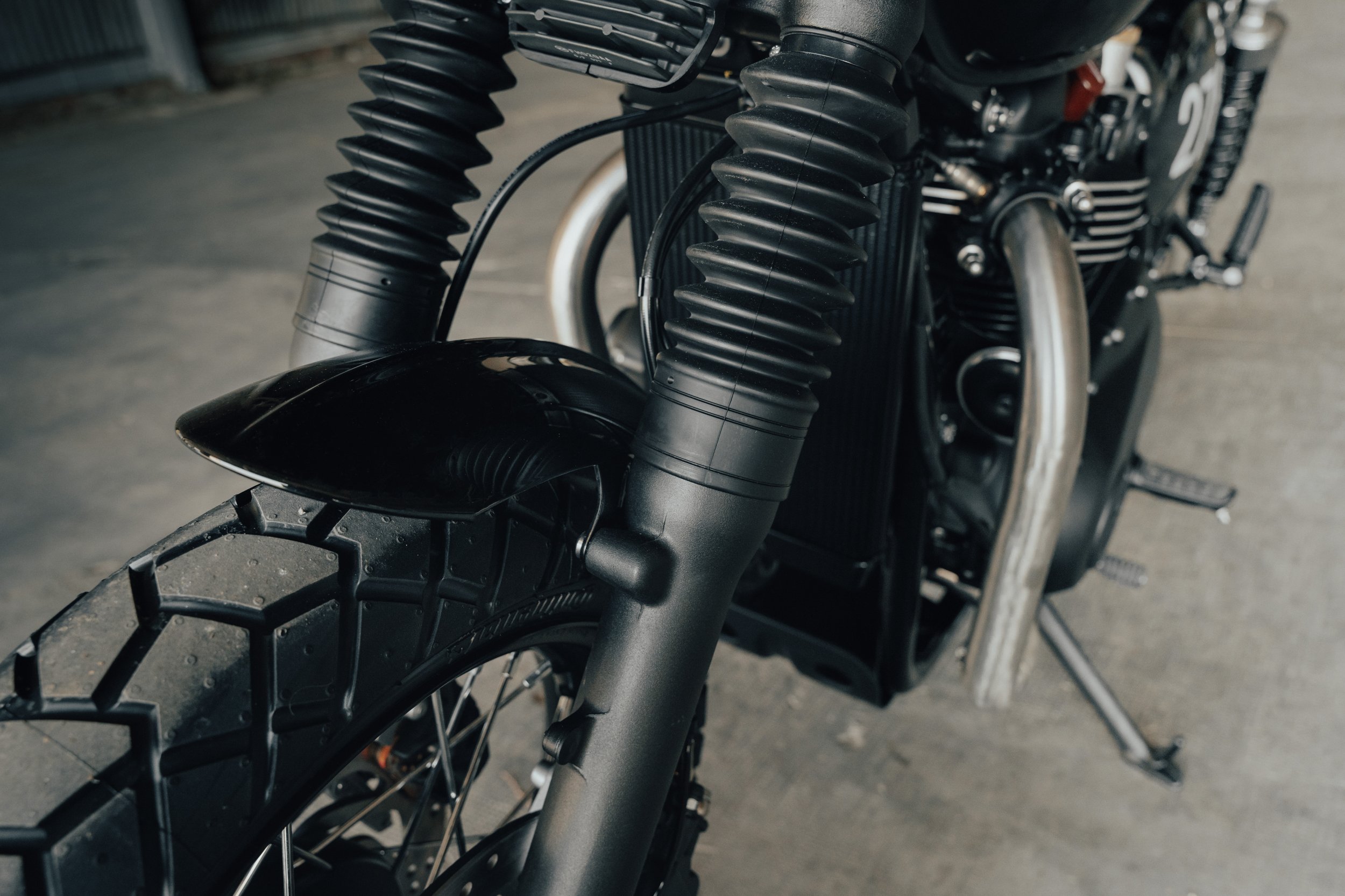Triumph-51.jpg
