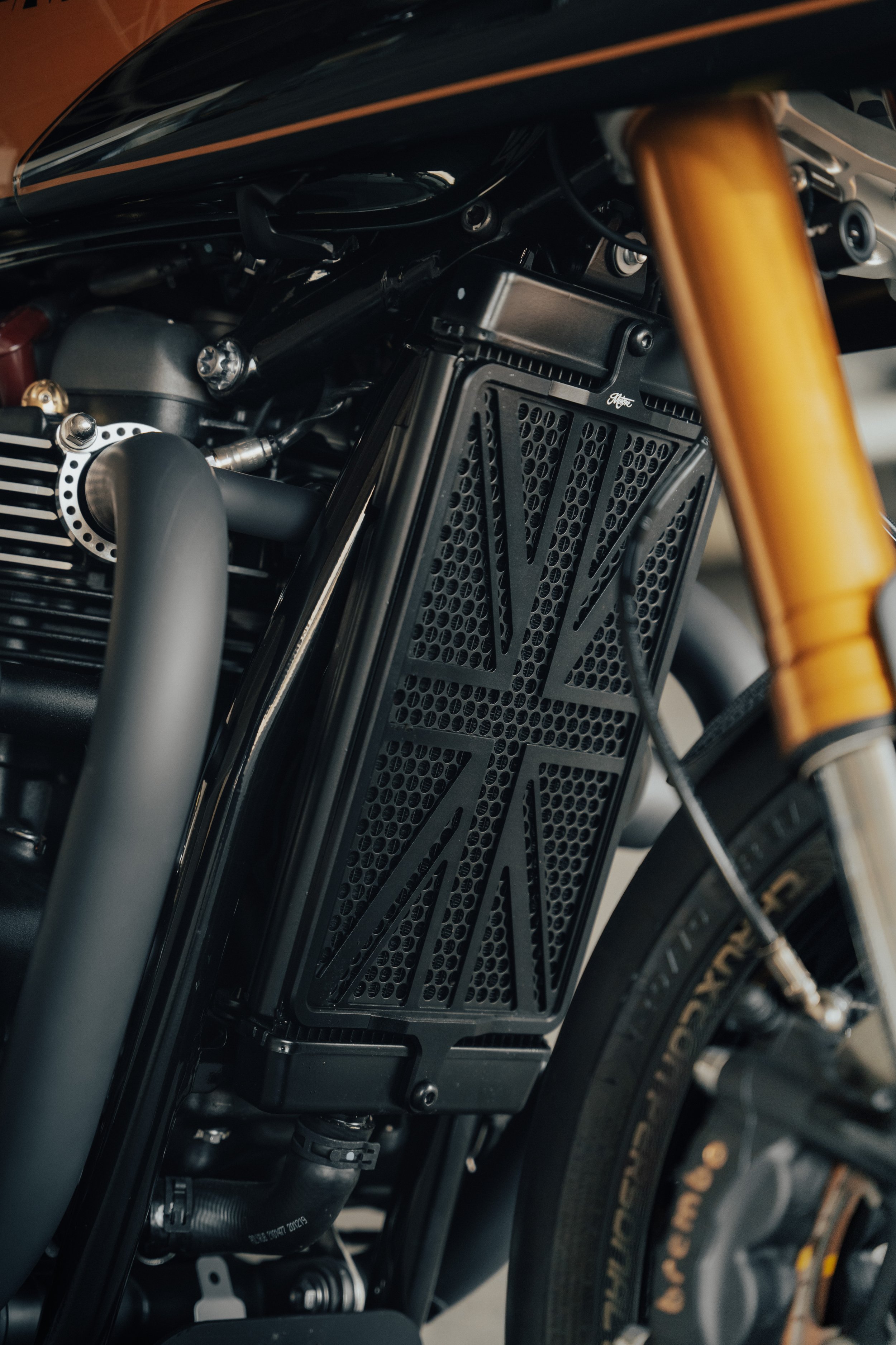Triumph-29.jpg