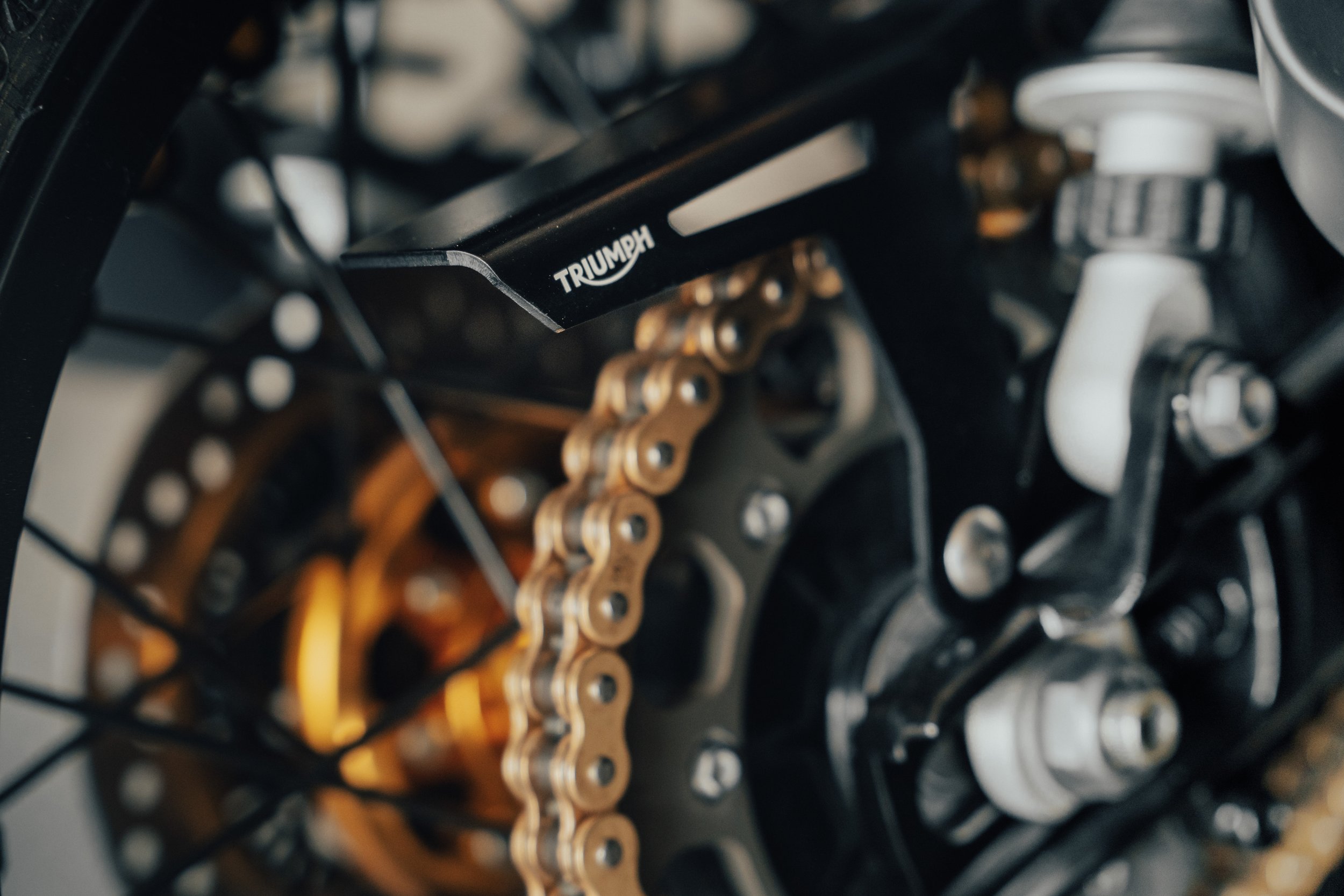 Triumph-23.jpg