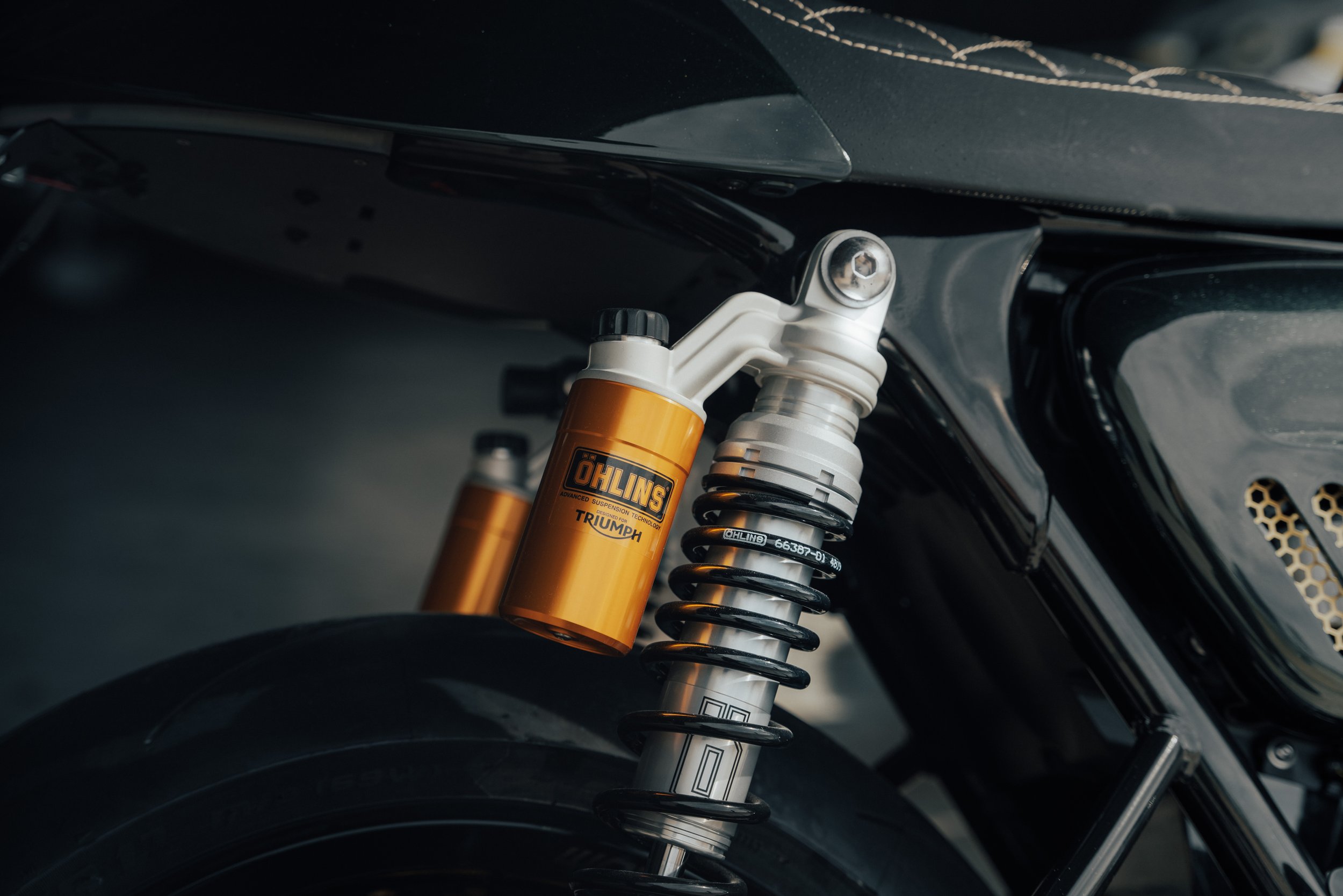 Triumph-4.jpg