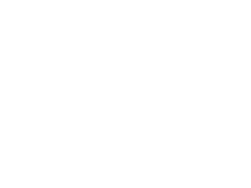 BMW.png