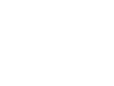 allopneus.png