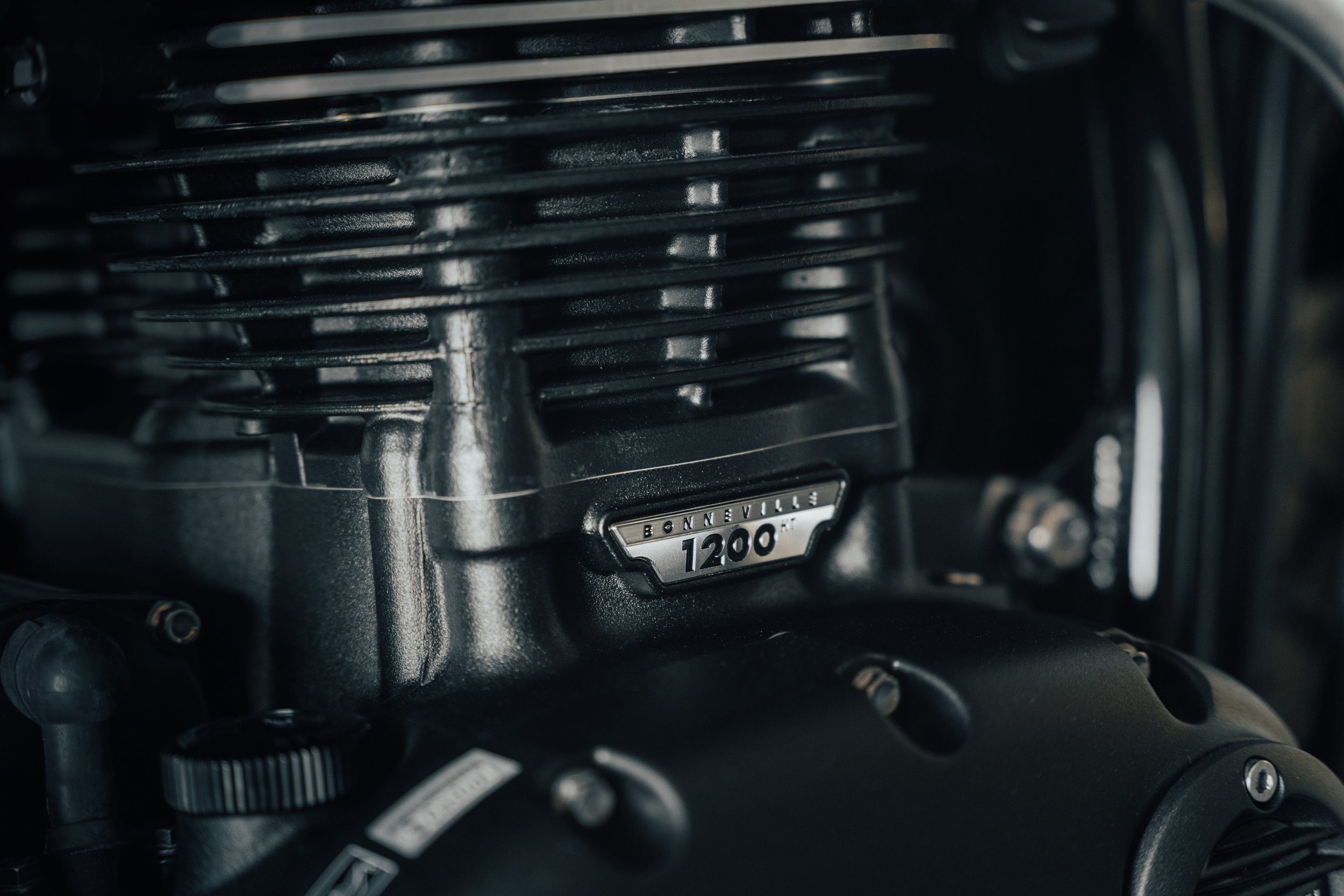 Triumph-43.jpg