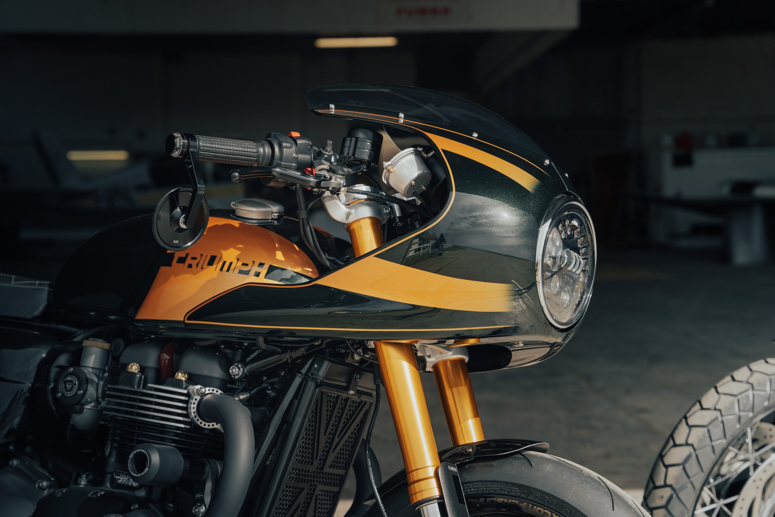 Triumph-6.jpg