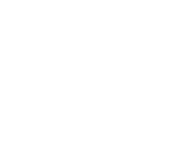 Gasly.png