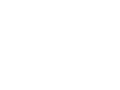 Protech.png
