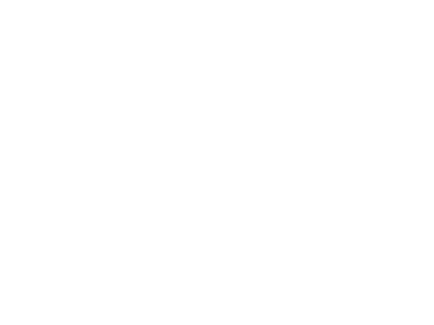 RSsimulation.png