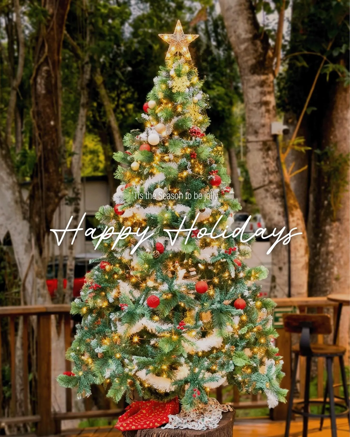 &lsquo;Tis the season to be jolly&hellip;

Celebrate the holidays with us this December. We have a festive functions menu as well as our a la carte menu to choose from. 

We are open for Christmas Eve, we are taking bookings from 5:30pm.

Please note