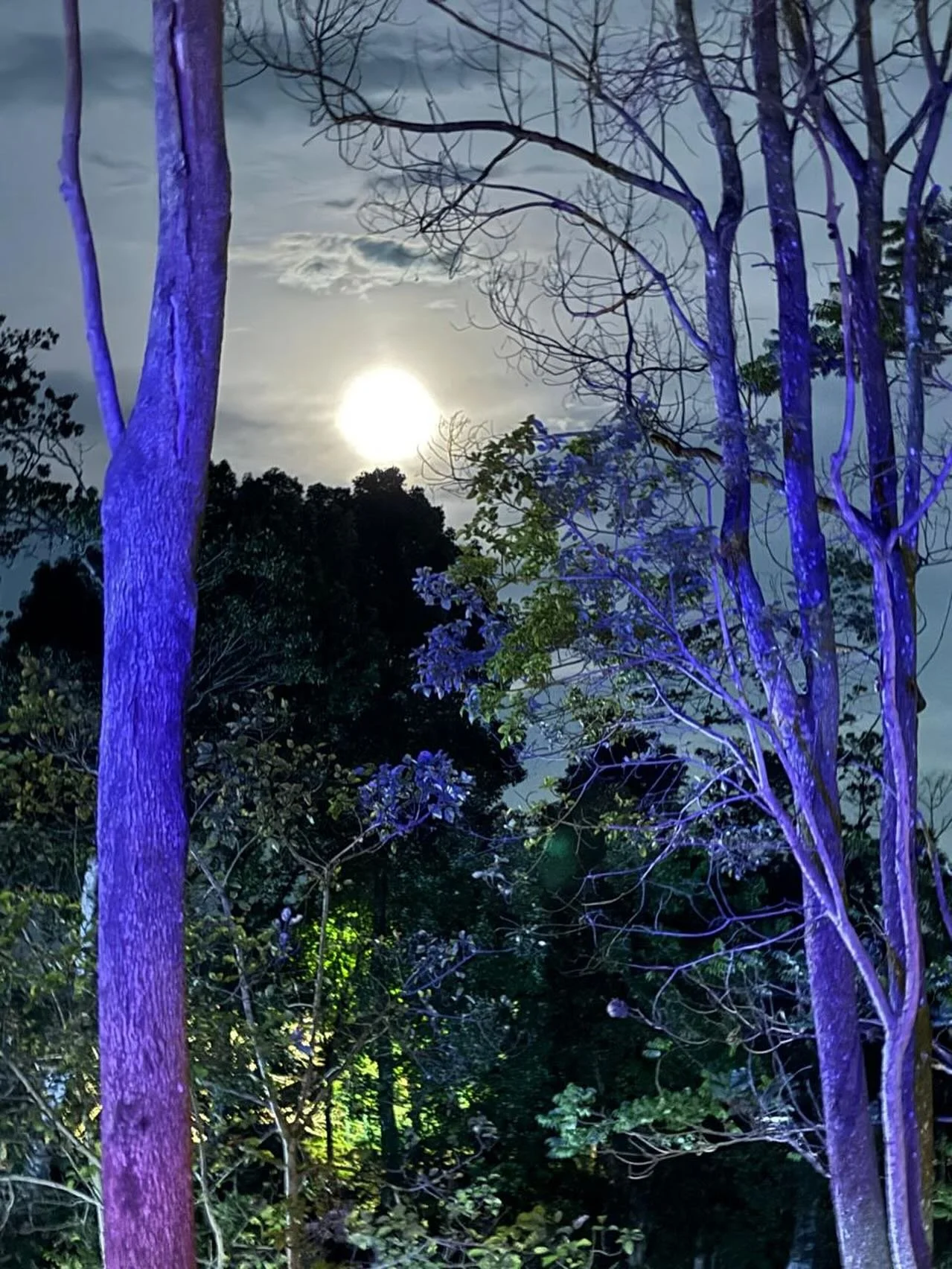 When the moon hits your eye, like a big pizza pie, that&rsquo;s amore. When the world seems to shine, like you&rsquo;ve had too much wine, that&rsquo;s amore.

We know you sang that in your head&hellip; 😂

#cafesparrow #supermoon