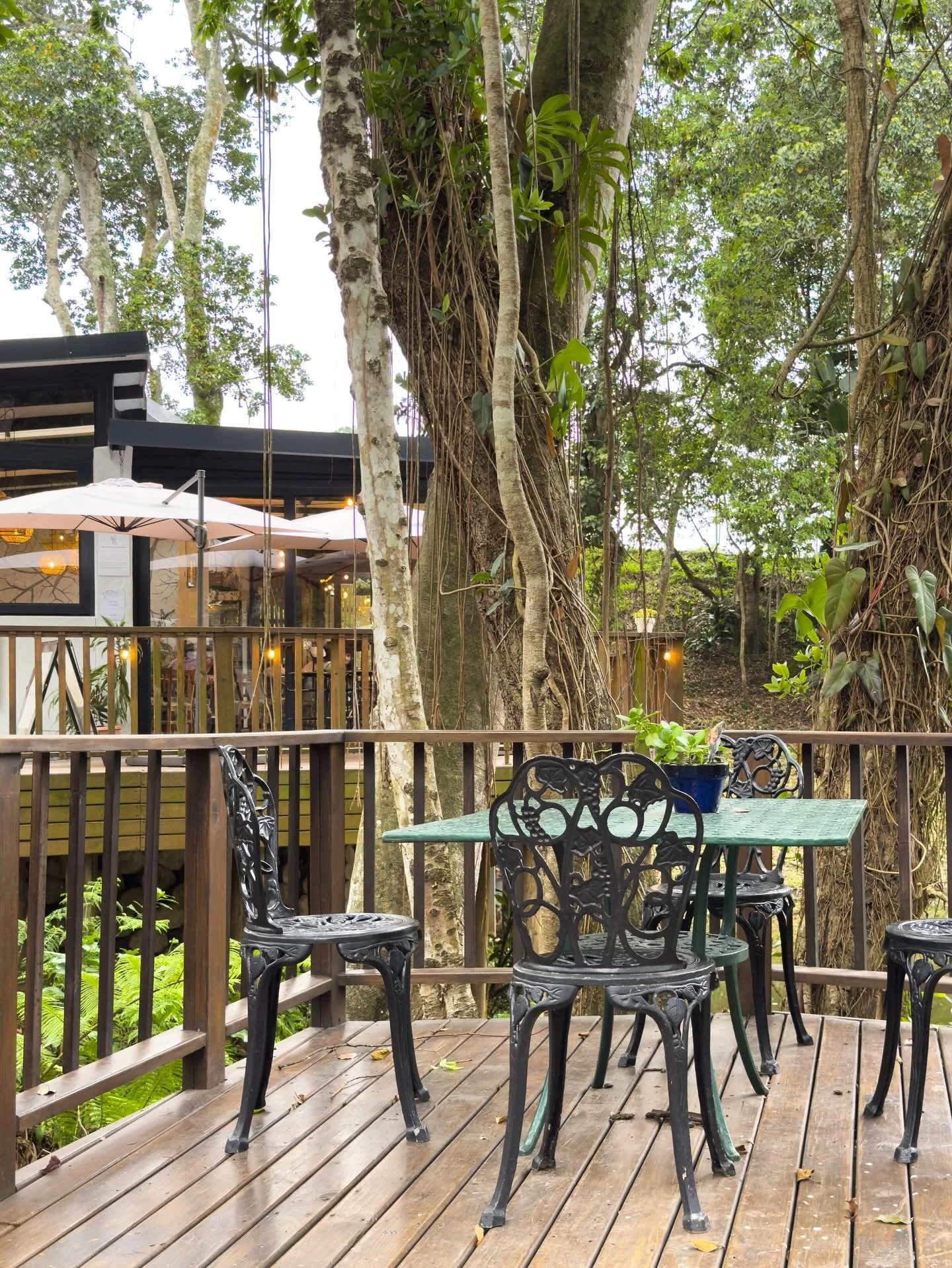 Have you ever seen this private table set on its own section of the deck? It&rsquo;s perfect for people seeking a separate space away from the crowds and people with doggies.

#cafesparrow #dogfriendly #whatsondurban #thingstodoindurban