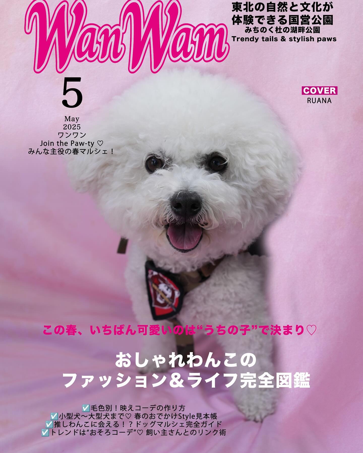 #雑誌表紙風写真 
⁡
5月10日、11日に宮城県川崎町のみちのく杜の湖畔公園にて開催されたドッグフェスティバル⛲️🌿‬🦮🐩🐕&zwj;🦺🐶
当店にも沢山の方にご利用、ご覧頂きありがとうございました‼️
⁡
今回作品のご購入をして頂いたわんちゃんの紹介を一部ではありますが、ご紹介させていただきます🥰
⁡

ルアナちゃん🩷
⁡
⁡
ありがとうございました😊
⁡
⁡
⁡
♬*゜*&bull;.&cedil;&cedil;✿ ♬*゜*&bull;.&cedil;&cedil;♪*&b