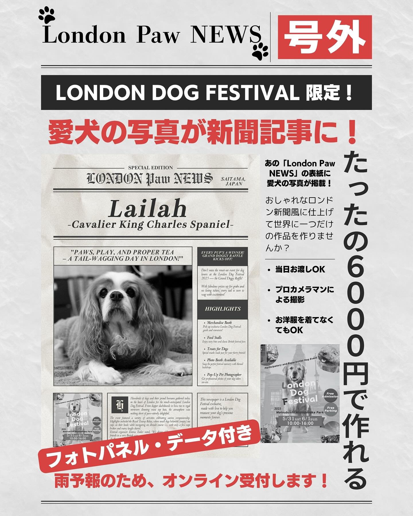 #london_dog_festival 
⁡
今週末に開催されるロンドンドッグフェスティバルに
31日のみ出店します‼️
雨予報で公式フォトブースや抽選会が中止になる場合がございます。
ご来場を予定して頂いているご家族様は、
お足元が悪い可能性が高いのでご注意下さい。
⁡
また雨予報に伴い、緊急で当店のコンテンツ販売を
オンラインでも受付いたします‼️
⁡
✼&bull;&bull;┈┈&bull;&bull;✼&bull;&bull;┈┈&bull;&bull;✼&bull;&bull;┈┈