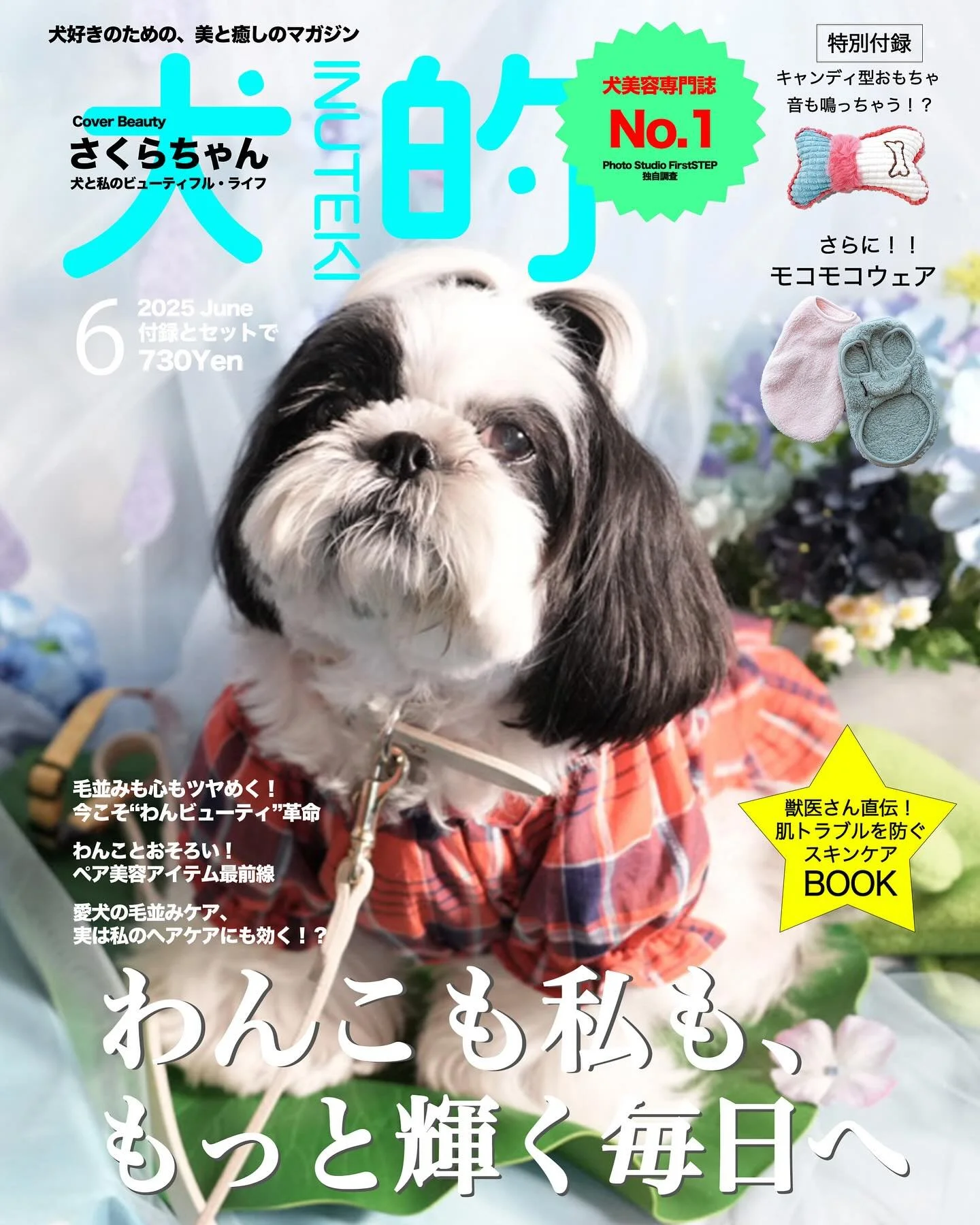 #新作デザイン 
⁡
雑誌表紙風の新作デザインが完成‼️
今回は〇的風🤭
⁡
今後も更にデザインを増やしていきたいと思います😆
⁡
また、あの雑誌風で作って欲しい🥹
などのご希望がありましたら、モニター価格で作成させていただきます！
通常価格(デザイン料込)10000円▶︎▶︎▶︎モニター価格 8000円
A4サイズパネルも同時お申し込みの場合は13000円にて承ります☺️
皆さんの可愛いご家族を雑誌表紙にしませんか？📕👒💄👗🌂👙👜🎀👠
⁡
⁡
⁡
#いぬのいる暮らし
#