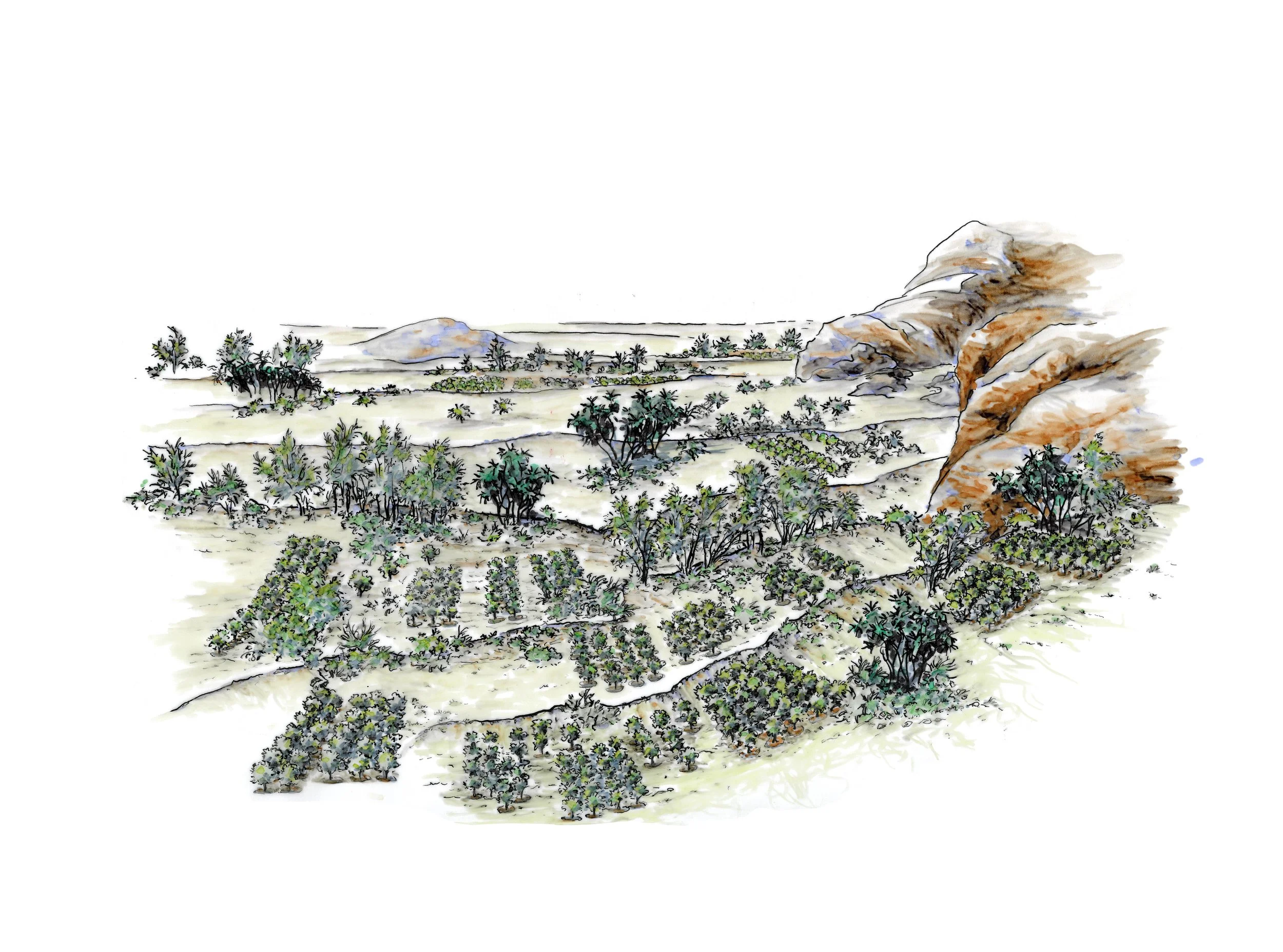 Agriculture 3.jpg