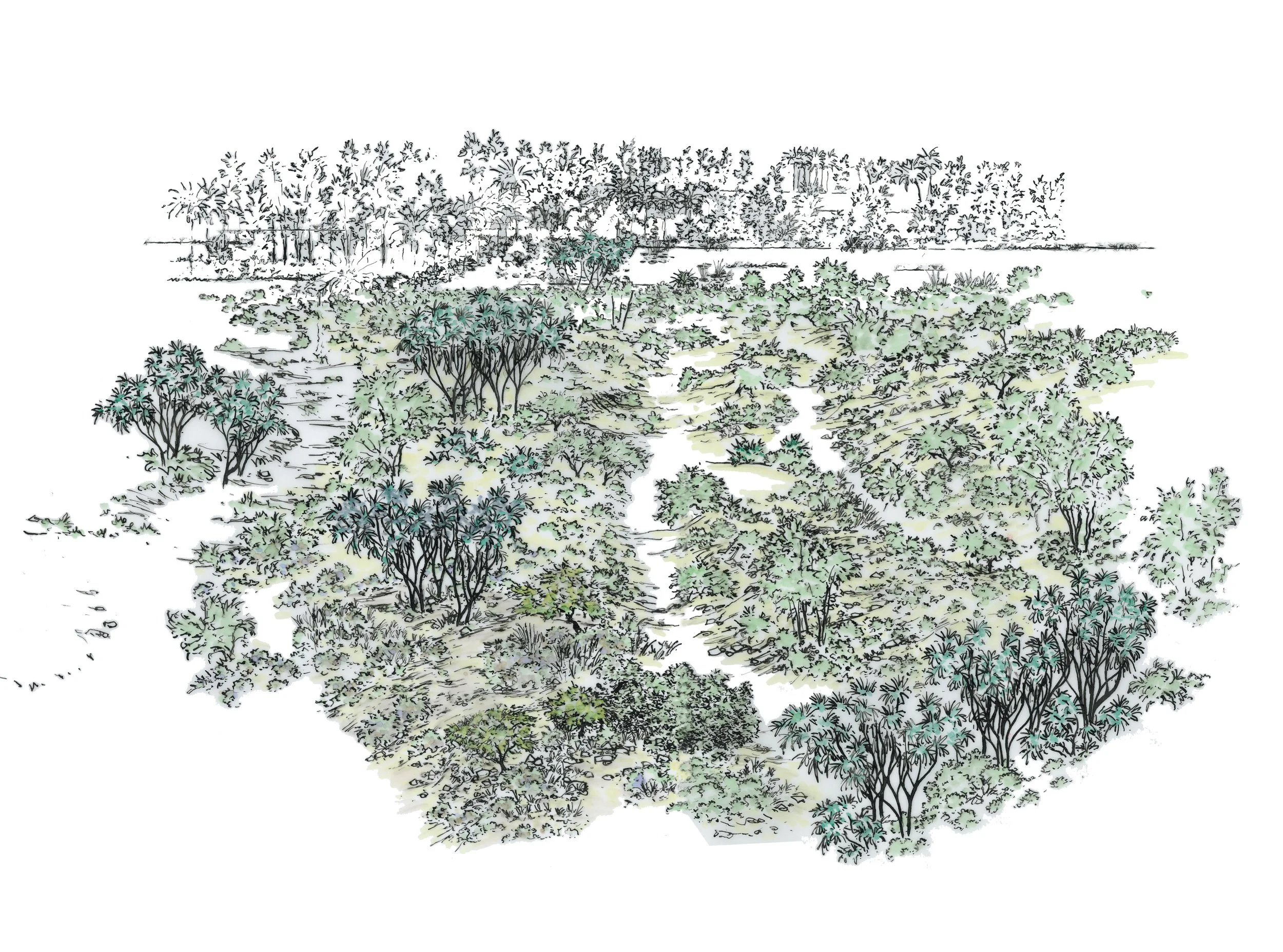 Wadsi Sharmah Park.jpg