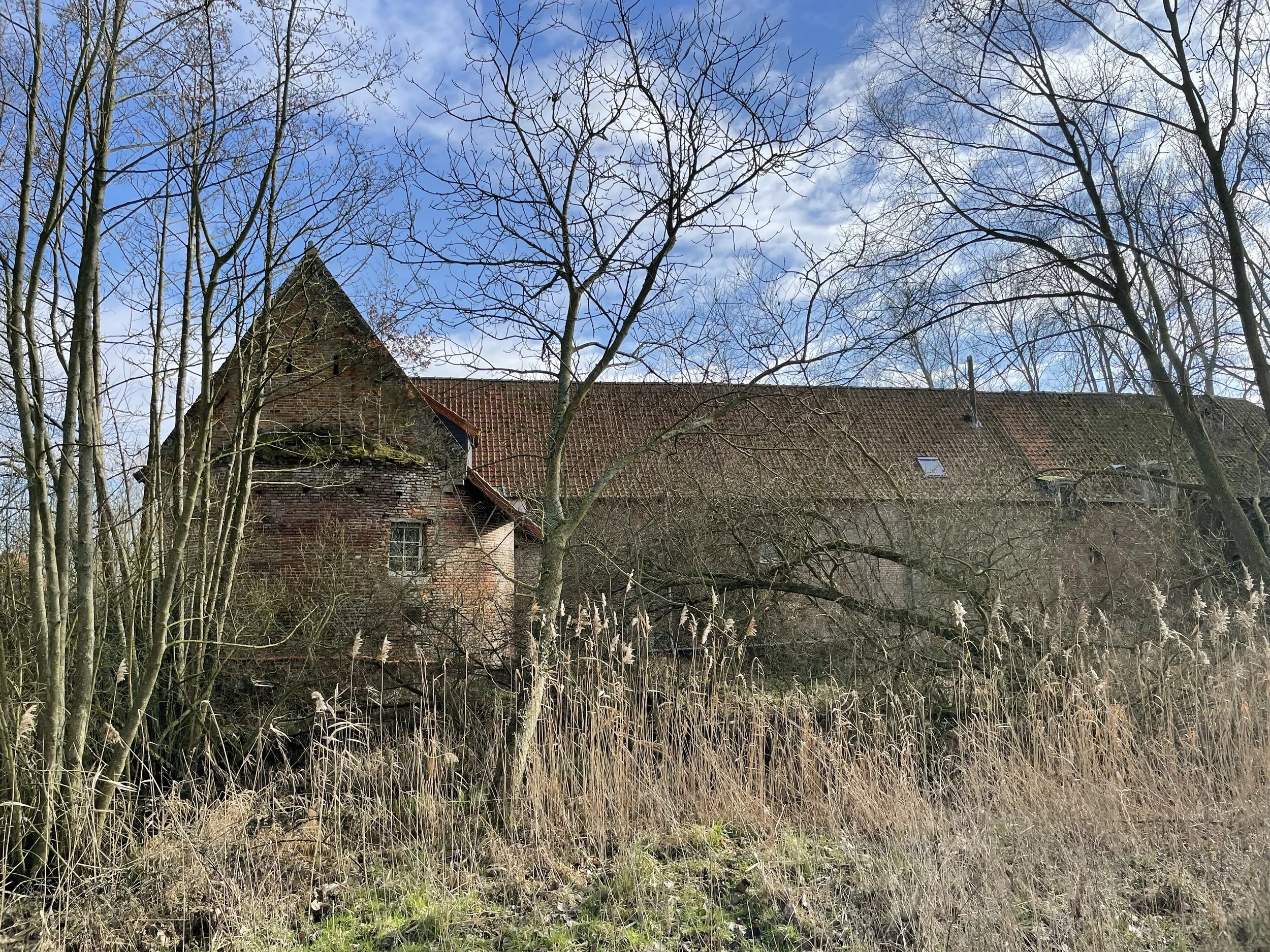 façade habitation extérieure-4.JPG