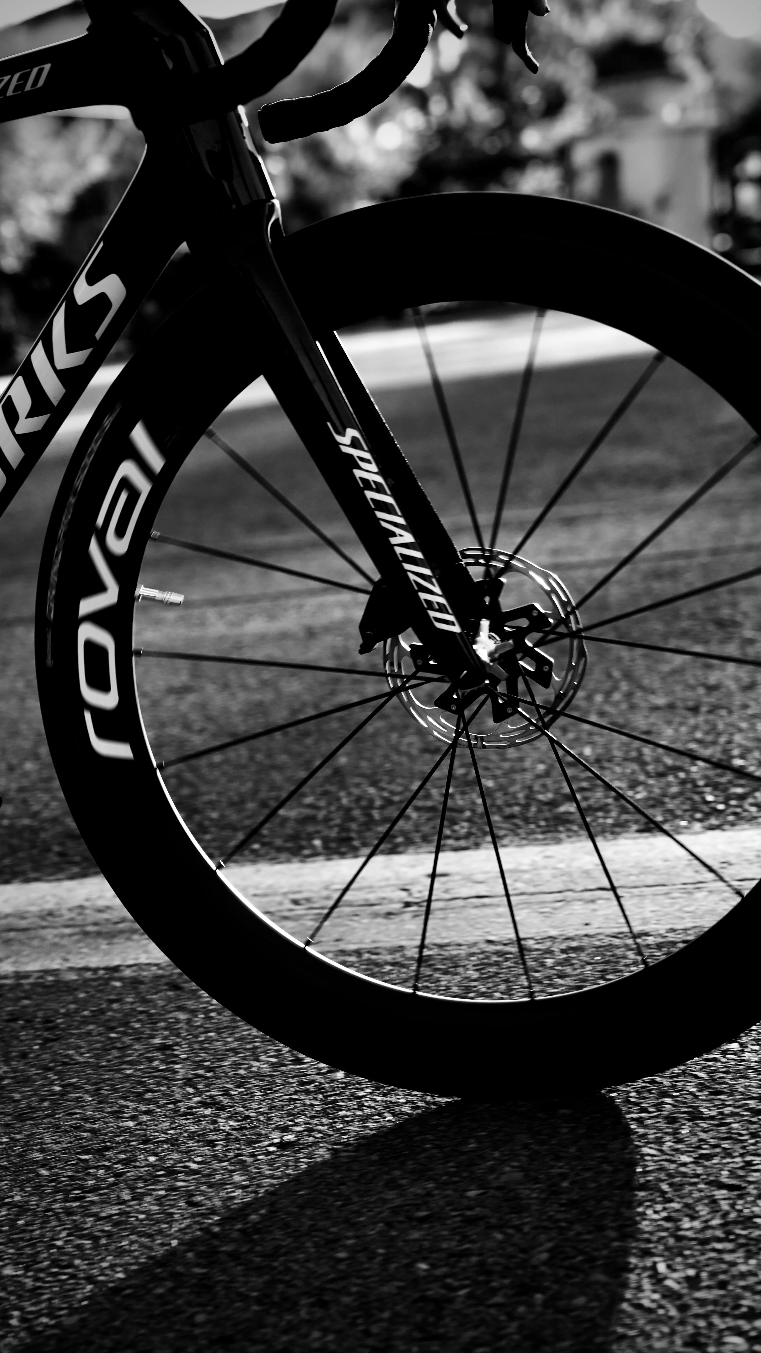 Close-up of a black road bicycle wheel and fork on asphalt, with a blurred background in black and white.