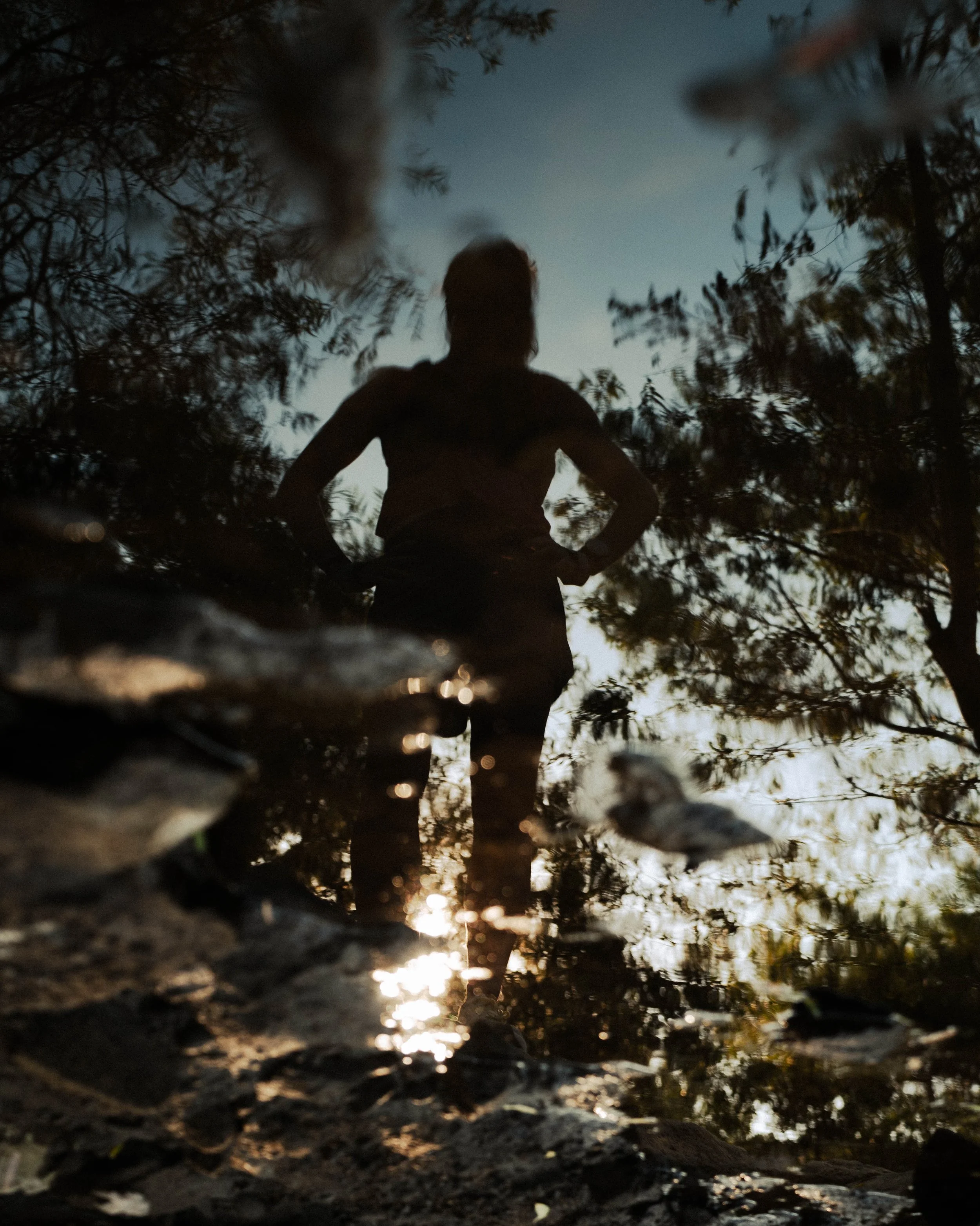 A silhouette of a person standing outdoors during sunset, viewed from a low angle among trees and leaves.