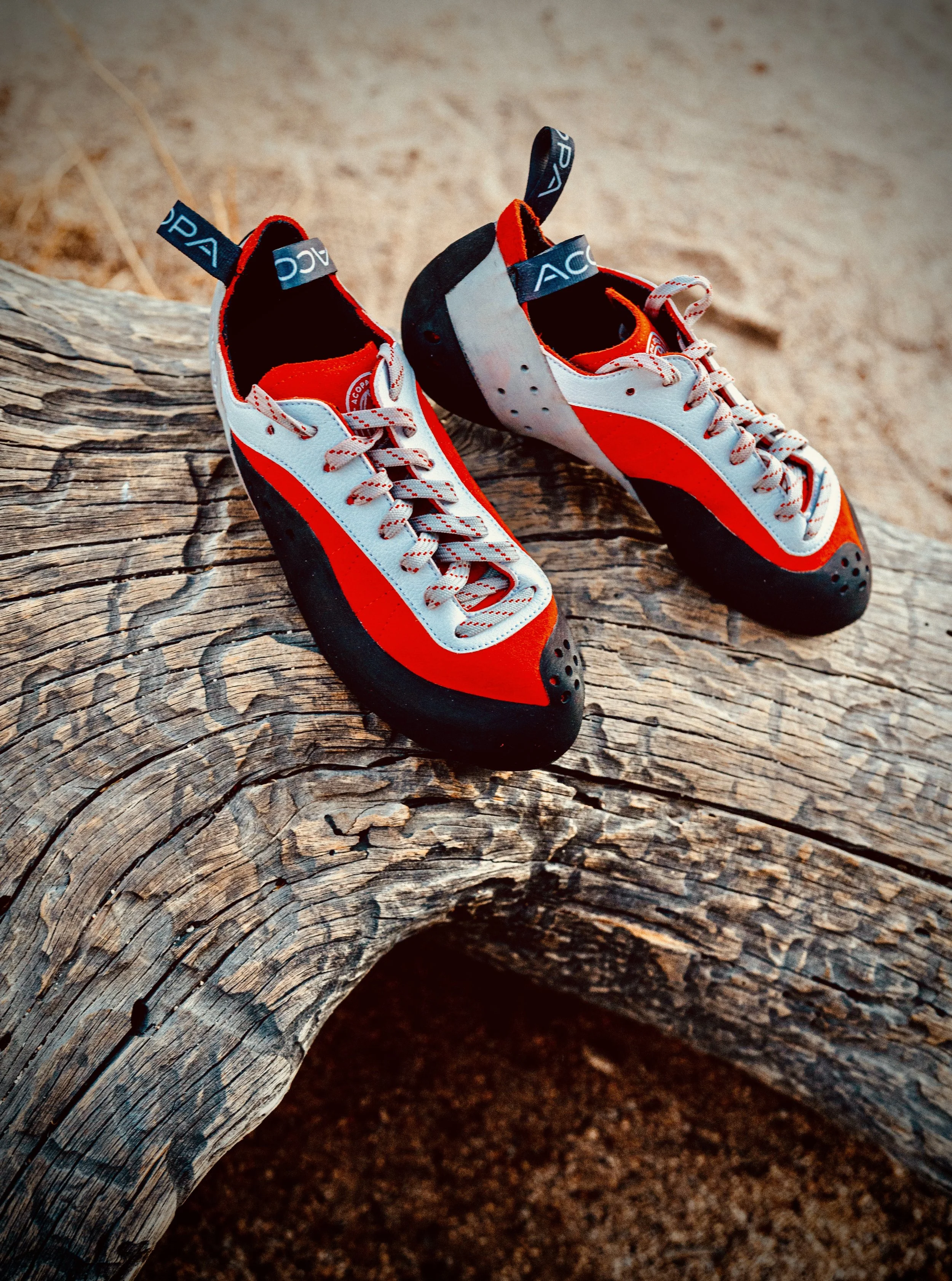 A pair of climbing shoes resting on a large piece of weathered wood on sandy terrain.
