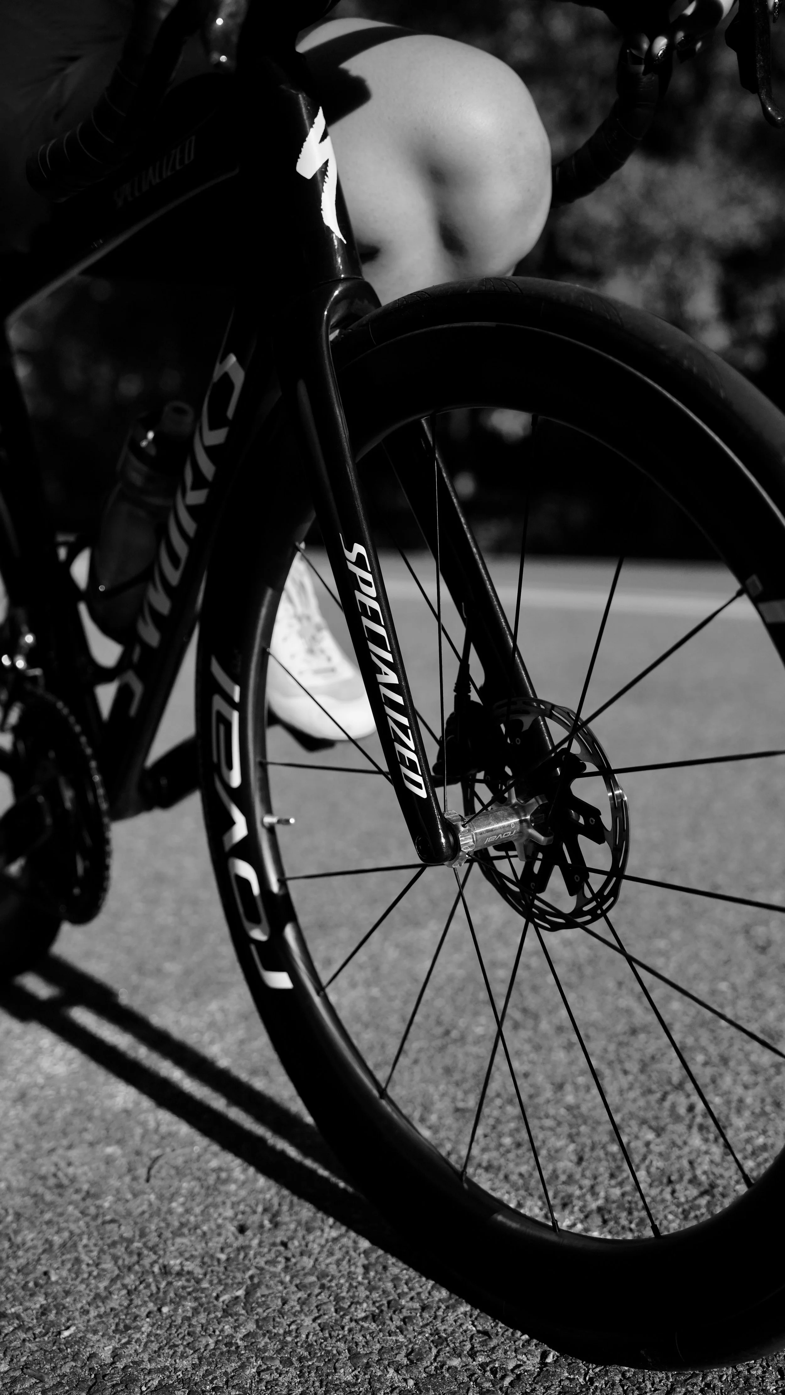 Close-up of a bicycle's front wheel, part of the frame, disc brake, and tire, with a plastic water bottle attached to the frame. The bicycle is outside on a paved surface.