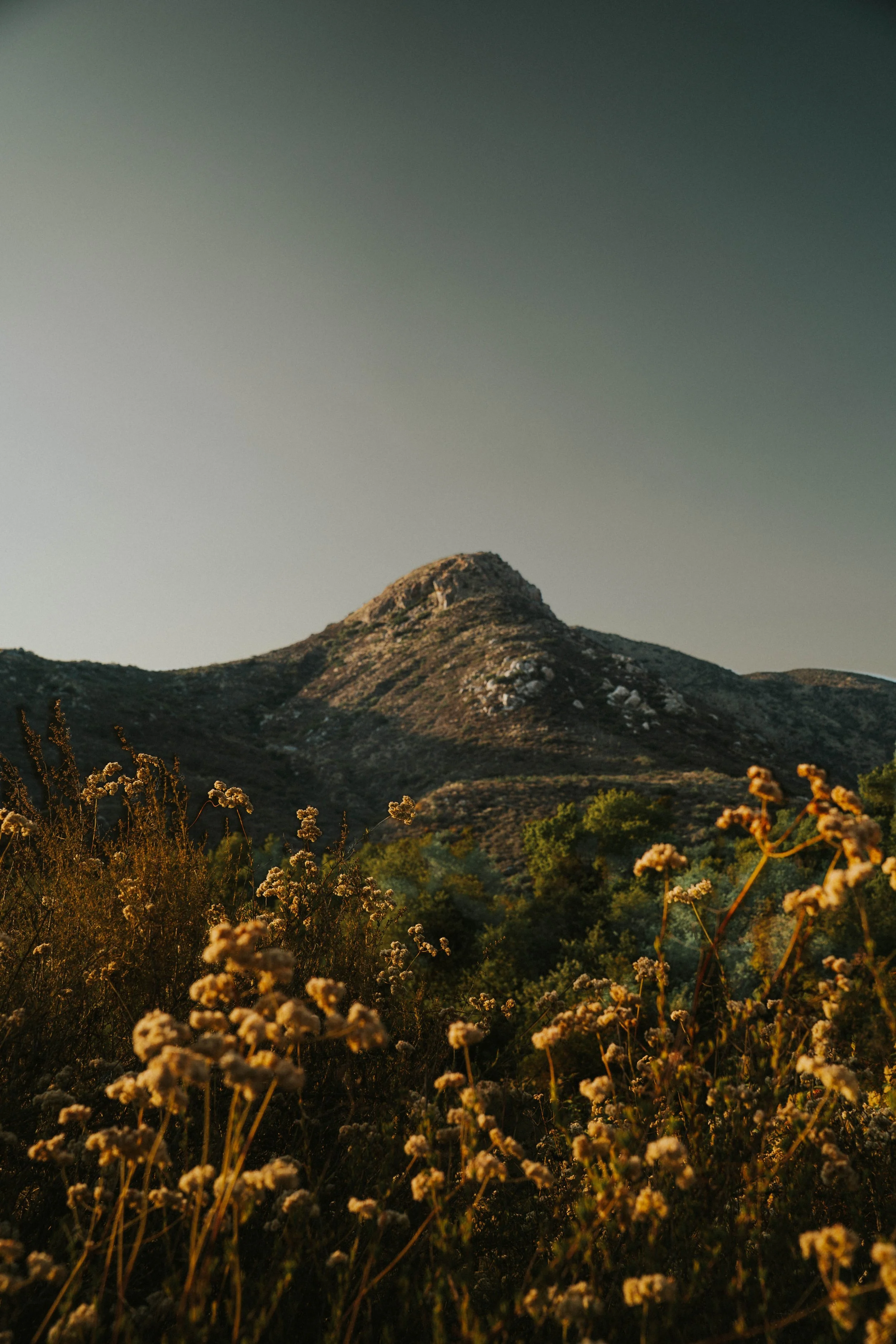 A mountain with a rocky, uneven summit and slopes surrounded by green vegetation, with blooming wildflowers in the foreground under a clear sky.