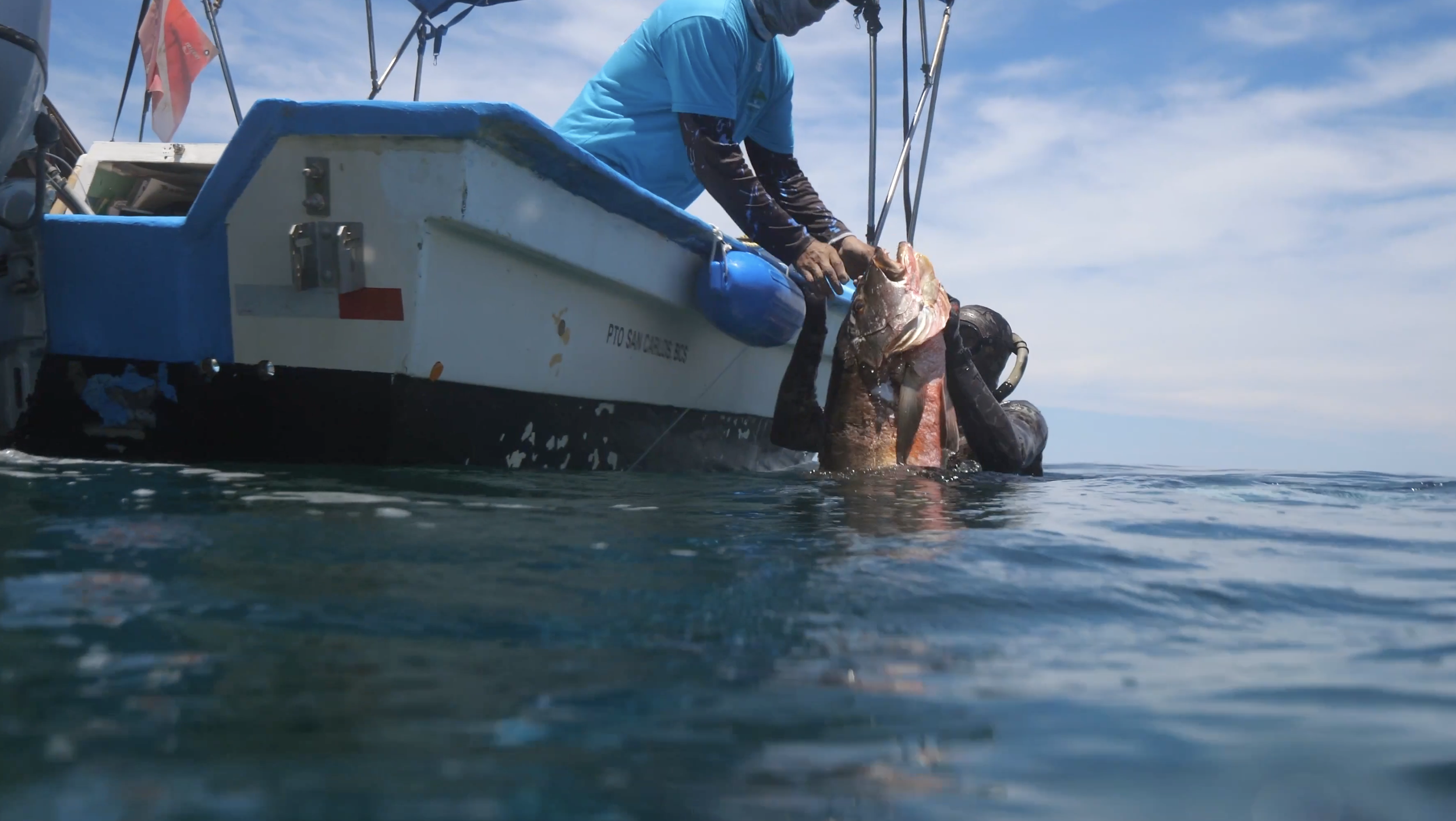 A person on a boat holding a large fish they caught, with water and sky in the background.