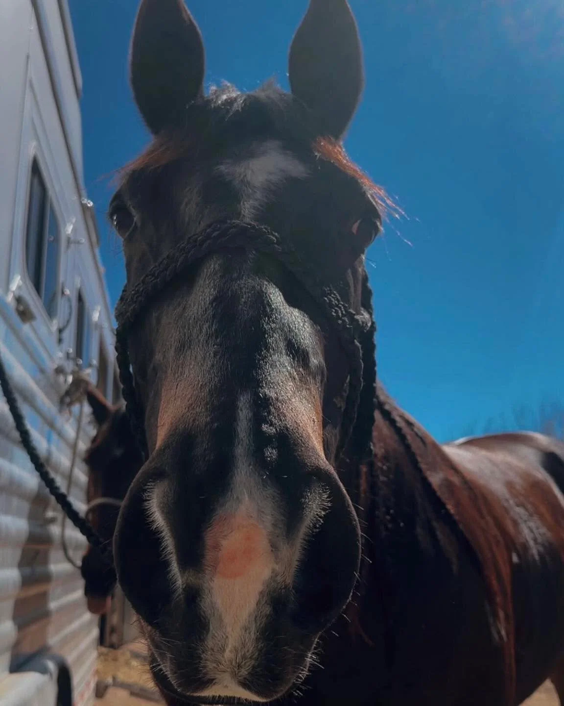 𝕄𝕖𝕞𝕠𝕣𝕚𝕖𝕤 𝕞𝕒𝕕𝕖. 𝕄𝕠𝕞𝕖𝕟𝕥𝕤 𝕝𝕚𝕧𝕖𝕕.

📸 @tay.walterss 
&bull;
&bull;
#JDB #justindiscountboots #justindiscountbootsandcowboyoutfitters #justintx #westernfashion #rodeofashion #ranchfashion #westernvibes #rodeovibes #ranchvibes